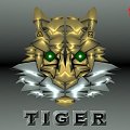 #tiger #tygrysek