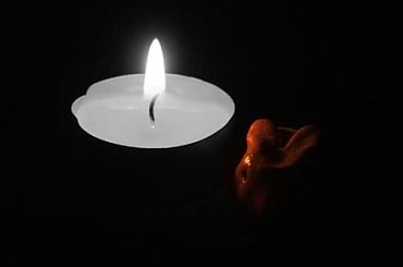 candle #płomień #candle #świeczka #zyzio