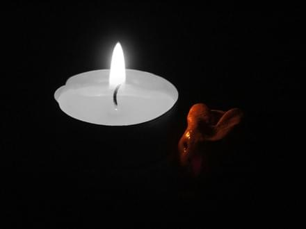 candle #płomień #candle #świeczka #zyzio