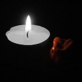 candle #płomień #candle #świeczka #zyzio