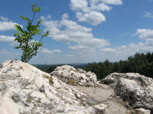 Podzamcze (Ogrodzieniec) - 02.07.2006 r.