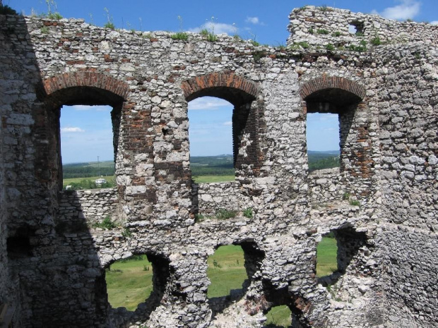 Podzamcze (Ogrodzieniec) - 02.07.2006 r.